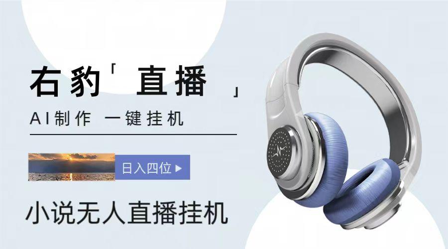 右豹小说无人直播挂机吸金项目，简单易行收益稳定， 月入1000+ - 创享网-创享网