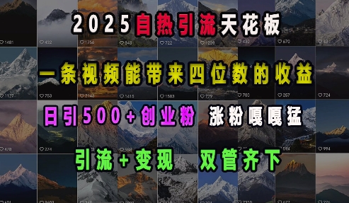 2025自热引流天花板，一条视频能带来四位数的收益，引流+变现双管齐下，日引500+创业粉，涨粉嘎嘎猛 - 创享网-创享网