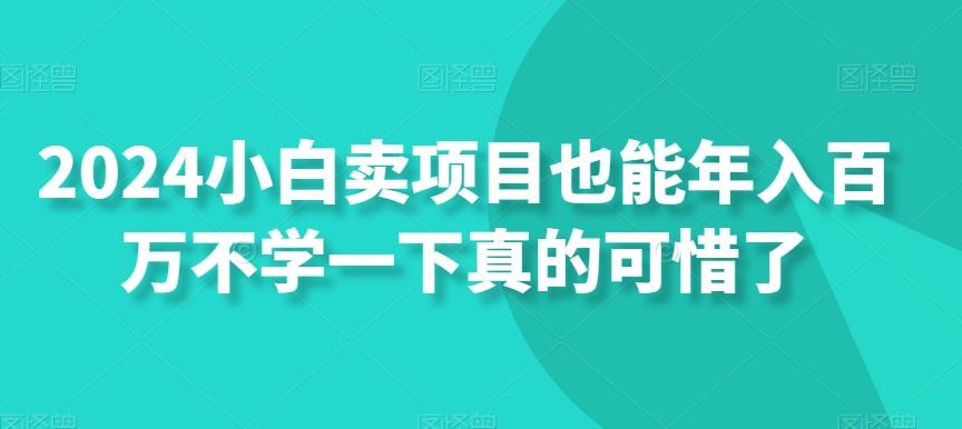 2024小白卖项目也能年入百万不学一下真的可惜了 - 创享网-创享网