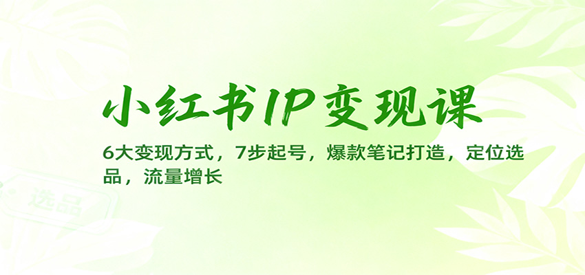 小红书IP变现课：6大变现方式，7步起号，爆款笔记打造，定位选品，流量增长-创享网