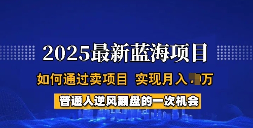 2025蓝海项目，普通人如何通过卖项目，实现月入过W，全过程【揭秘】 - 创享网-创享网