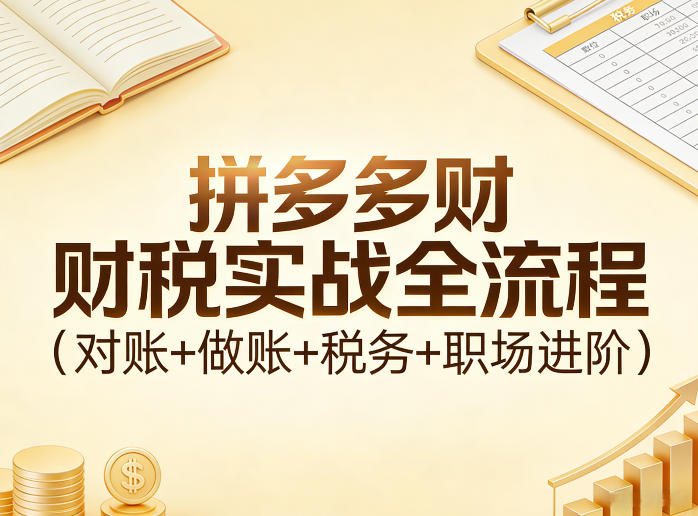 拼多多财税实战全流程(对账+做账+税务+职场进阶) - 创享网-创享网