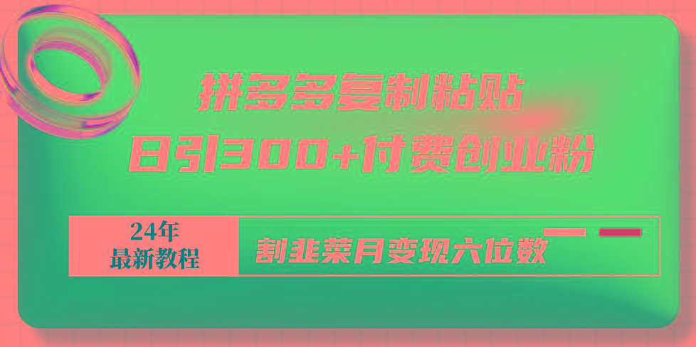 拼多多复制粘贴日引300+付费创业粉，割韭菜月变现六位数最新教程！ - 创享网-创享网