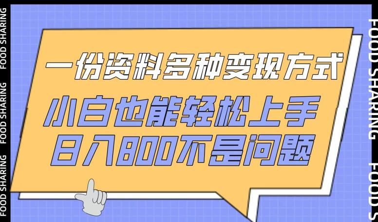 一份资料多种变现方式，小白也能轻松上手，日入800不是问题【揭秘】 - 创享网-创享网