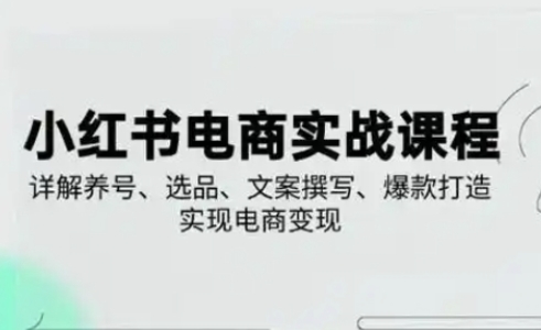 小红书从0-1实操课(2023-2025)，详解养号、选品、文案撰写、爆款打造实现电商变现 - 创享网-创享网