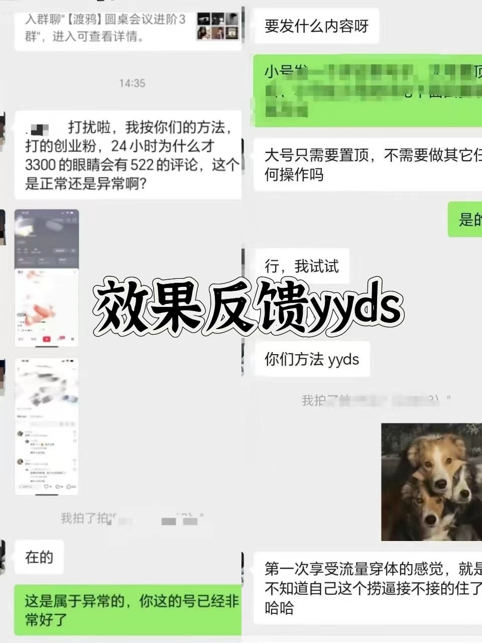 图片[3]-抖音小红书视频号全平台引流打法，全自动引流日引2000+精准客户 - 创享网-创享网