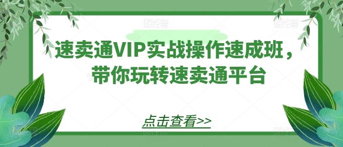 速卖通VIP实战操作速成班，带你玩转速卖通平台 - 创享网-创享网
