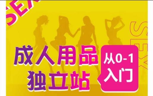 成人用品独立站从0-1入门，成品独立站运营全流程教学，七大好卖成品独立站推荐 - 创享网-创享网