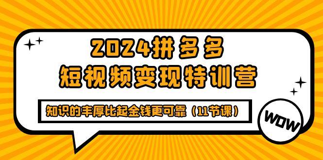 (9817期)2024拼多多短视频变现特训营，知识的丰厚比起金钱更可靠(11节课) - 创享网-创享网