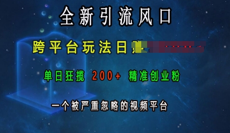 全新引流风口，跨平台玩法日入上k，单日狂揽200+精准创业粉，一个被严重忽略的视频平台 - 创享网-创享网