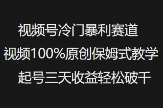 视频号冷门暴利赛道视频100%原创保姆式教学起号三天收益轻松破千 - 创享网-创享网