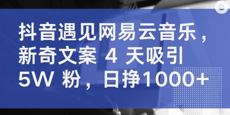 抖音遇见网易云音乐，新奇文案 4 天吸引 5W 粉，日挣1000+【揭秘】 - 创享网-创享网