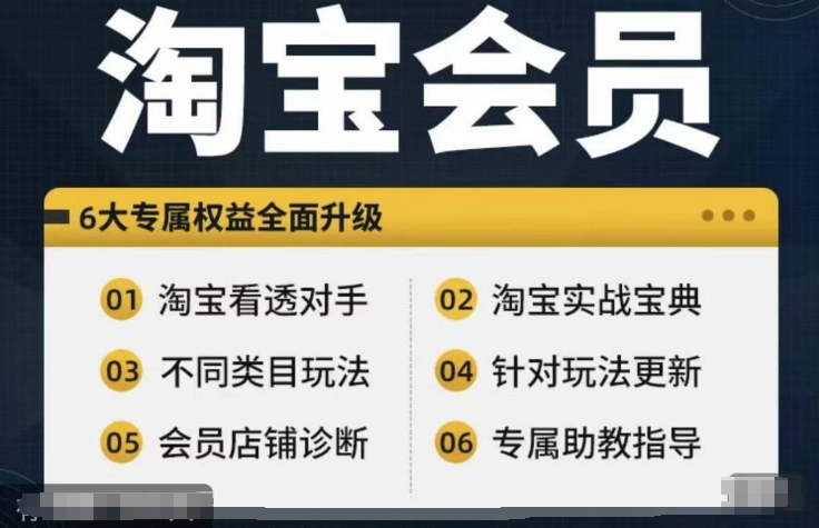 淘宝会员【淘宝所有课程，全面分析对手】，初级到高手全系实战宝典 - 创享网-创享网