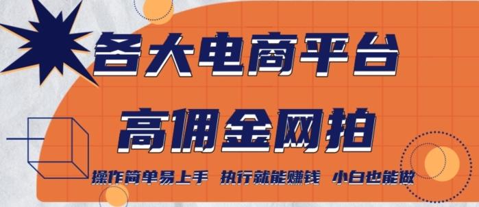 各大电商平台高佣金网拍，操作简单易上手，执行就能赚钱，小白也能做 - 创享网-创享网