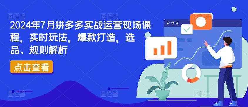2024年7月拼多多实战运营现场课程，实时玩法，爆款打造，选品、规则解析 - 创享网-创享网