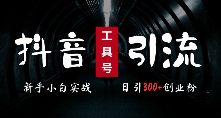 2024最新抖音工具号引流玩法，高效日引300+创业粉，当天变现5k，小白也可成为实战高手 - 创享网-创享网