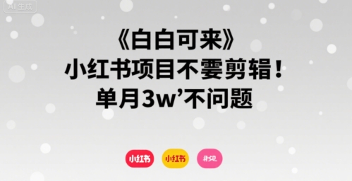 小白可来 小红书项目不需要剪辑 单月3w不是问题 - 创享网-创享网