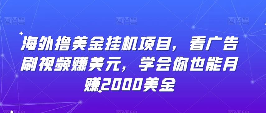 海外撸美金挂机项目，看广告刷视频赚美元，学会你也能月赚2000美金 - 创享网-创享网