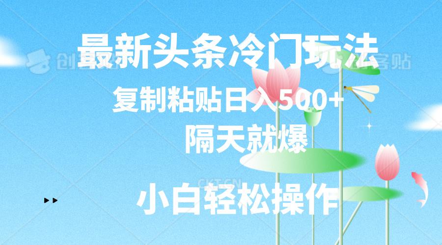 最新头条冷门玩法，隔天就爆，复制粘贴日入500+ - 创享网-创享网