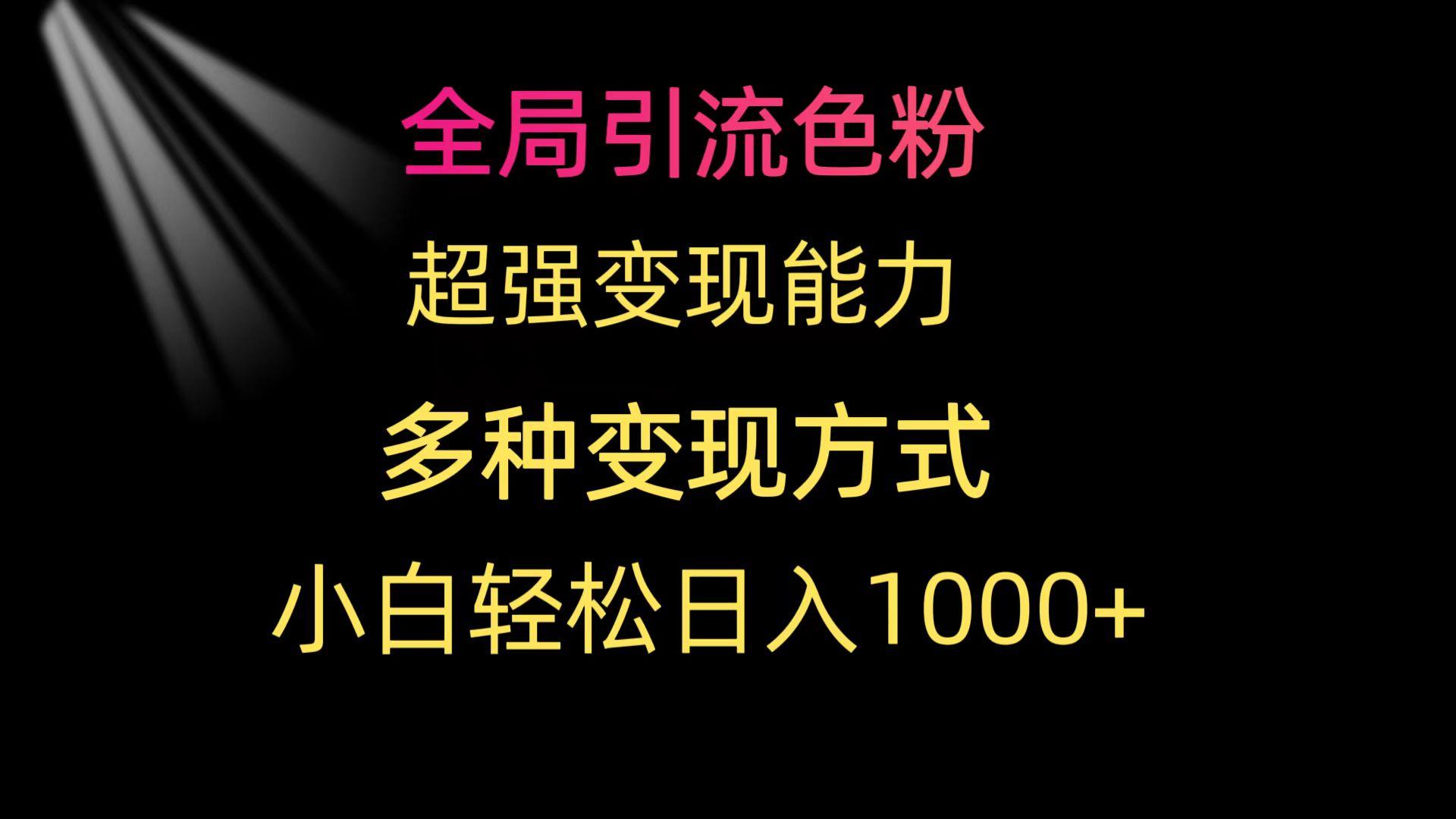 (9680期)全局引流色粉 超强变现能力 多种变现方式 小白轻松日入1000+ - 创享网-创享网