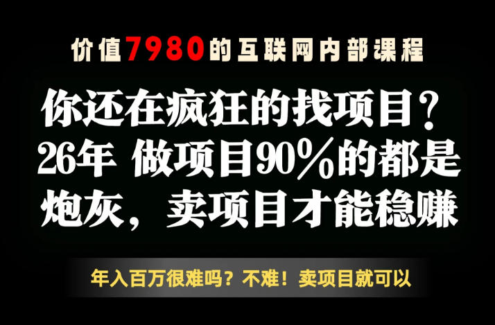 26年请不要疯狂的找项目了，卖项目远比你想象的暴利，你也可以月入10W+【揭秘】-创享网