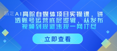 AI高阶自媒体项目实操课，讲透账号运营底层逻辑，从发布视频到规避违规一网打尽 - 创享网-创享网