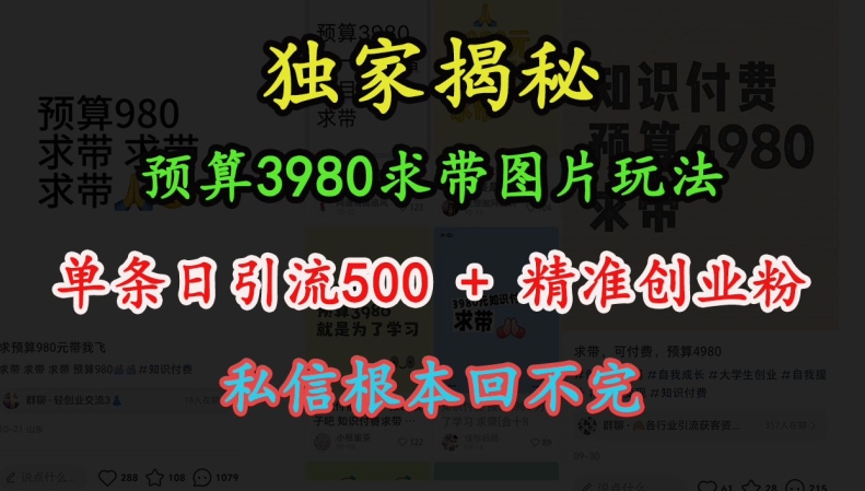 预算3980求带 图片玩法，单条日引流500+精准创业粉，私信根本回不完 - 创享网-创享网