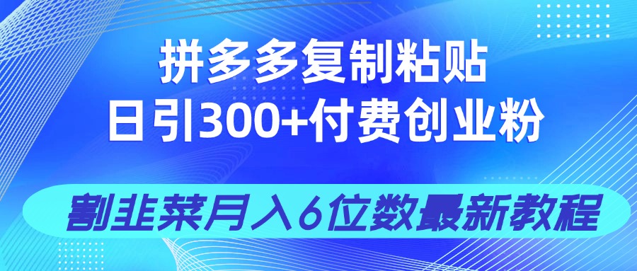 拼多多复制粘贴日引300+付费创业粉，割韭菜月入6位数最新教程！ - 创享网-创享网
