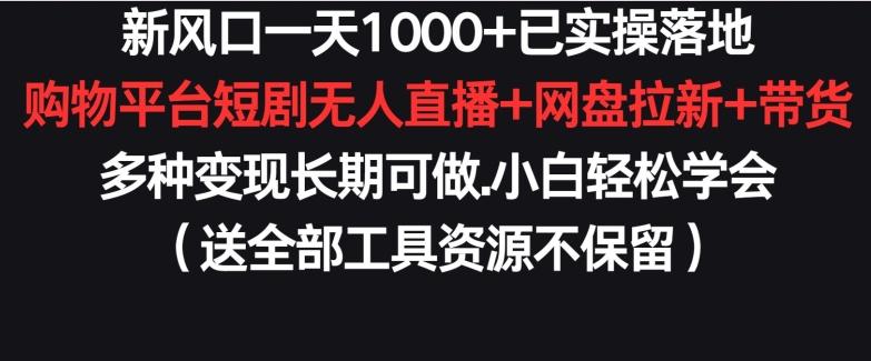 新风口一天1000+已实操落地购物平台短剧无人直播+网盘拉新+带货多种变现长期可做【揭秘】 - 创享网-创享网