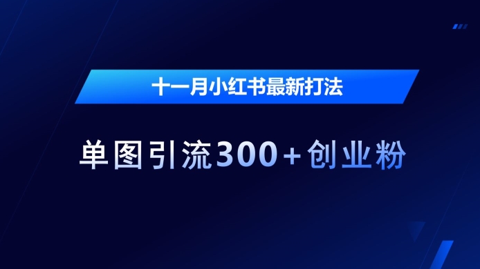 十一月小红书最新打法，单图引流300+创业粉【揭秘】 - 创享网-创享网