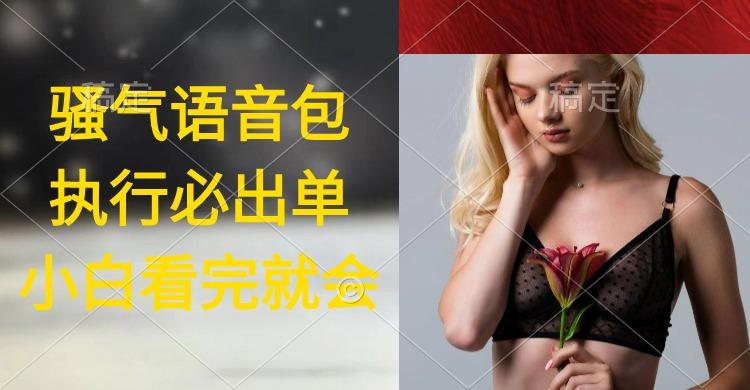 (9589期)执行就出单，日入2000+，超火骚气语音包，小白看完课程就能马上实操 - 创享网-创享网