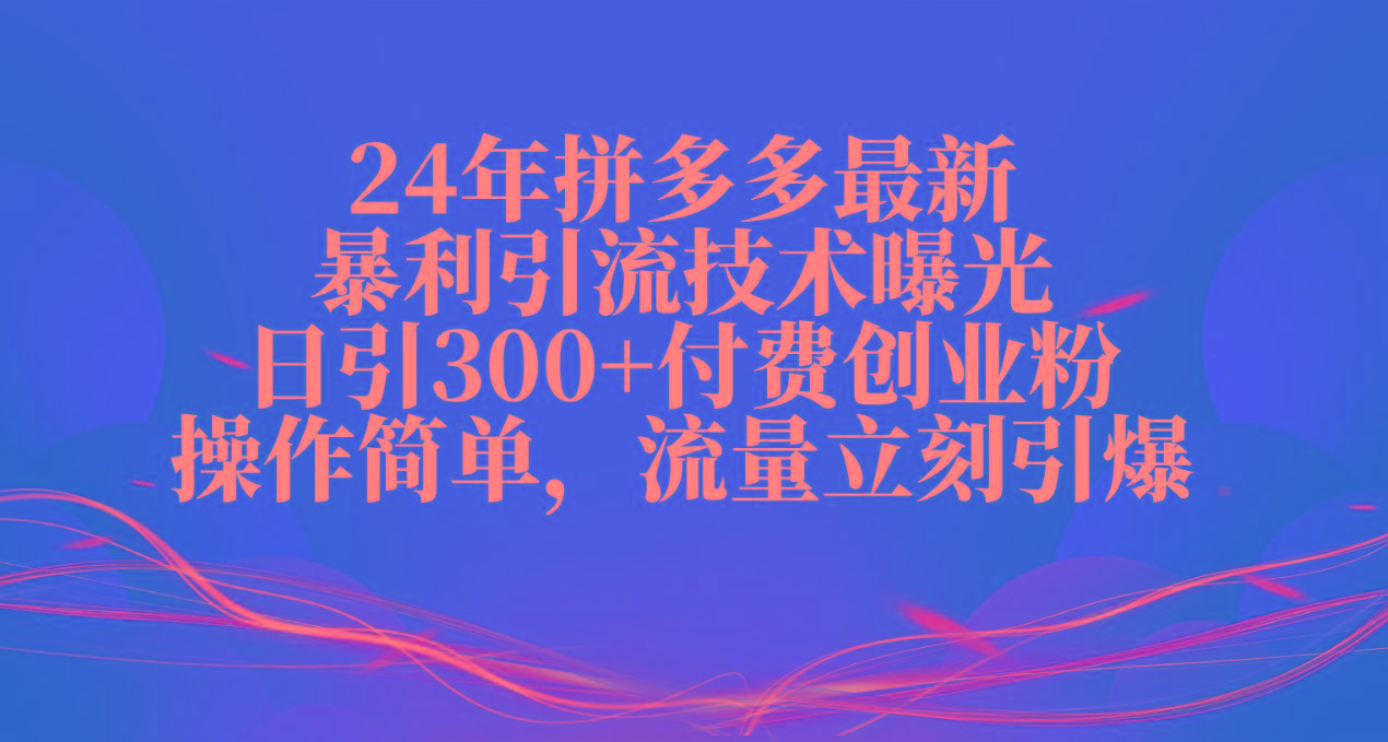 24年拼多多最新暴利引流技术曝光，日引300+付费创业粉，操作简单，流量... - 创享网-创享网