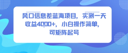 风口信息差蓝海项目，实测一天收益4k+，小白操作简单，可矩阵起号 - 创享网-创享网