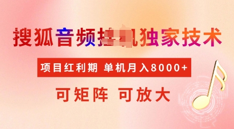 全网首发搜狐音频挂JI独家技术，项目红利期，可矩阵可放大，稳定月入8k【揭秘】 - 创享网-创享网