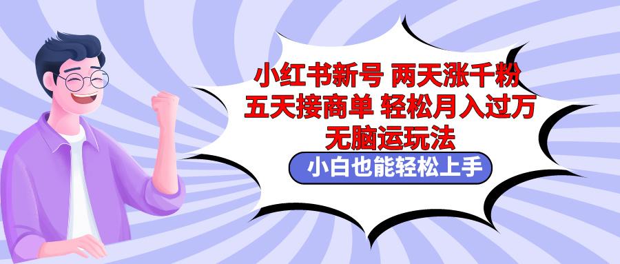 小红书新号两天涨千粉五天接商单轻松月入过万 无脑搬运玩法 小白也能轻... - 创享网-创享网