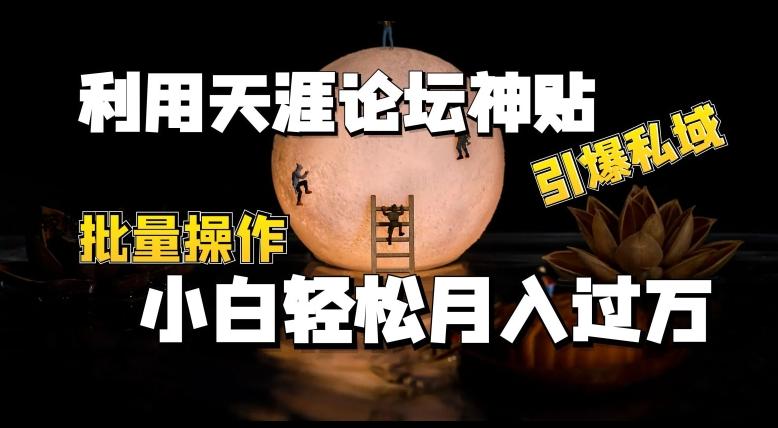 利用天涯论坛神贴，引爆私域，批量操作，小白轻松月入过w【揭秘】 - 创享网-创享网
