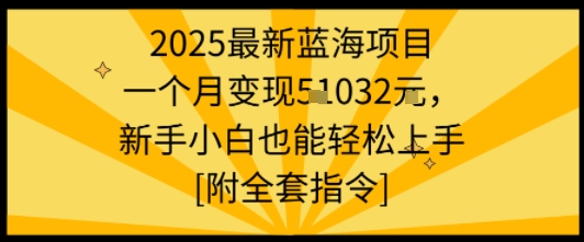 2025最新蓝海项目一个月变现1w+新手小白也能轻松上手【附全套指令】 - 创享网-创享网