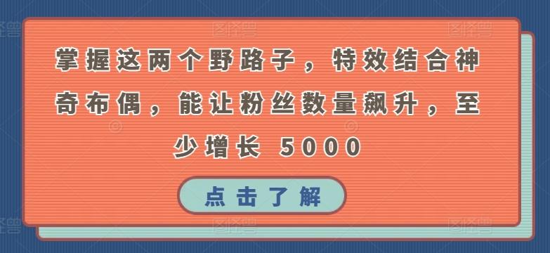 掌握这两个野路子，特效结合神奇布偶，能让粉丝数量飙升，至少增长 5000【揭秘】 - 创享网-创享网