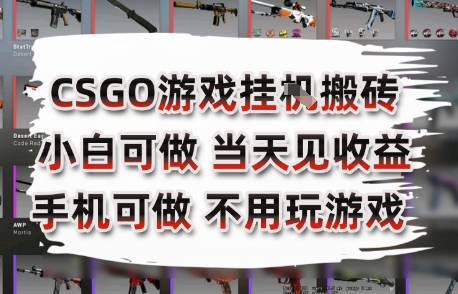 CSGO游戏挂G搬砖，小白纯手机即可操作，不用电脑打游戏，日入3张+，副业网创项目【揭秘】 - 创享网-创享网