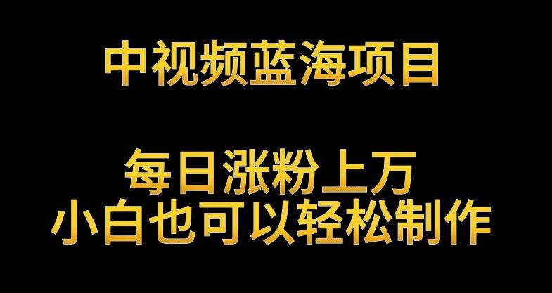中视频蓝海项目，解读英雄人物生平，每日涨粉上万，小白也可以轻松制作，月入过万不是梦【揭秘】 - 创享网-创享网