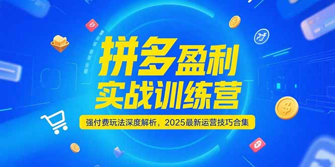 拼多多盈利实战训练营，强付费玩法深度解析，2025运营技巧合集-更新6月 - 创享网-创享网