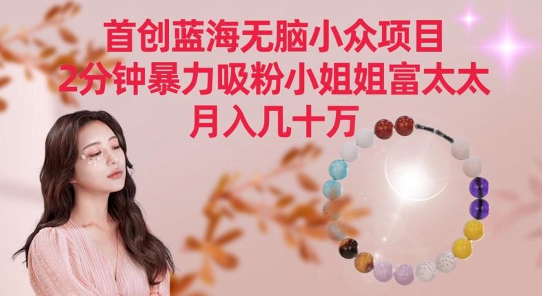 首创蓝海无脑小众项目，2分钟暴力吸粉小姐姐富太太，月入几十万【揭秘】 - 创享网-创享网