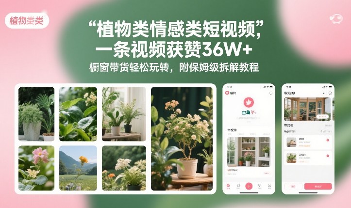 植物类情感类短视频，一条视频获赞36W+，橱窗带货轻松玩转，附保姆级拆解教程 - 创享网-创享网