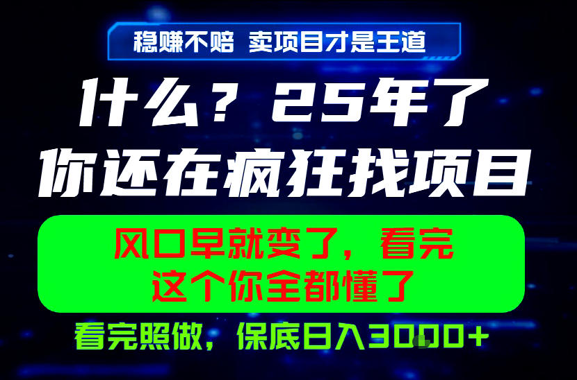 26年，请不要疯狂的找项目做了！卖项目才是真的稳賺不赔，看完照做，保底日入1k+【揭秘】 - 创享网-创享网