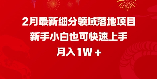 2月最新细分领域落地项目，新手小白也可快速上手，月入1W - 创享网-创享网