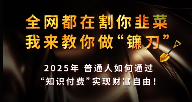 全网都在割你韭菜，我来教你做镰刀，2025年普通人如何通过 知识付费 实现财F自由【揭秘】 - 创享网-创享网