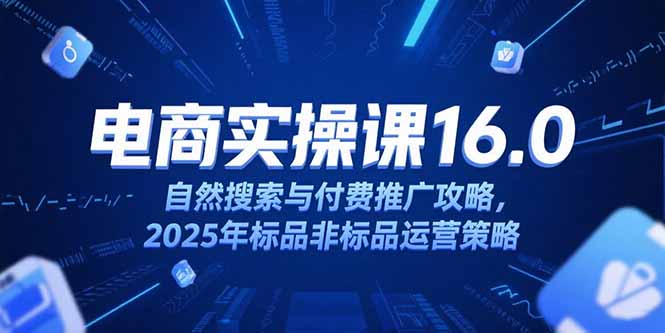 淘宝电商运营课16.0，自然搜索与付费推广攻略，2025年标品非标品运营策略 - 创享网-创享网