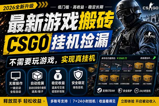 最新游戏搬砖，CSGO纯挂机，不需要玩游戏，实现真挂机，月入1W+，五一小高峰上车可吃肉，…-创享网