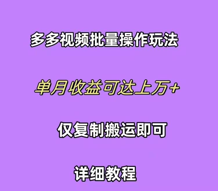 (10029期)拼多多视频带货快速过爆款选品教程 每天轻轻松松赚取三位数佣金 小白必... - 创享网-创享网