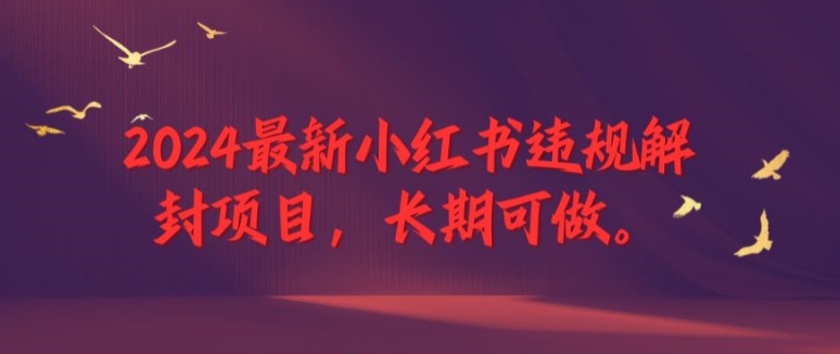 2024最新小红书违规解封项目，长期可做，一个可以做到退休的项目【揭秘】 - 创享网-创享网